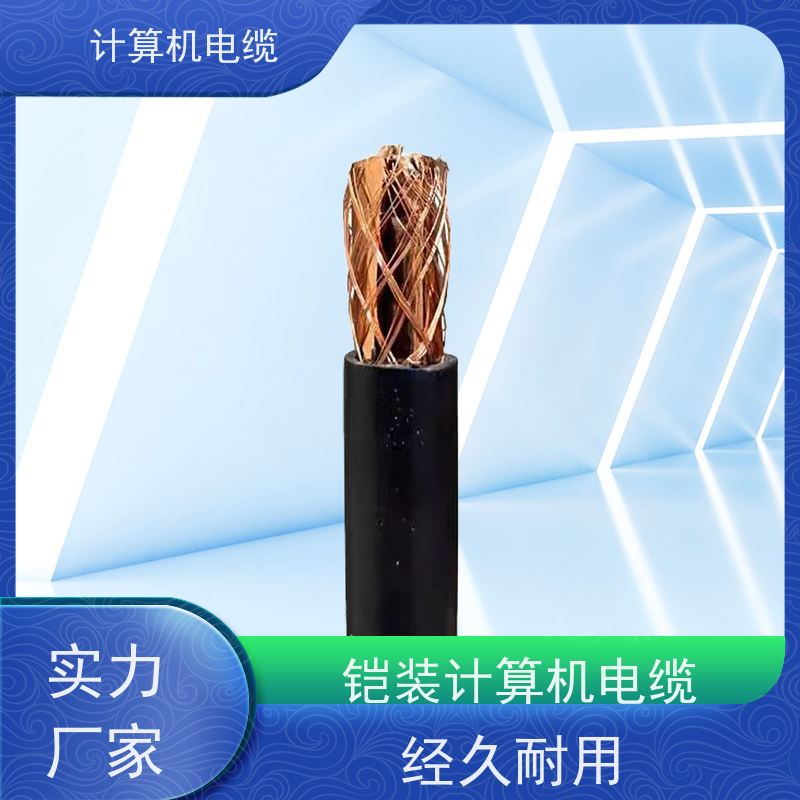 天康 阻燃屏蔽计算机电缆 截面2.7-400mm2 实力厂家 经久耐用