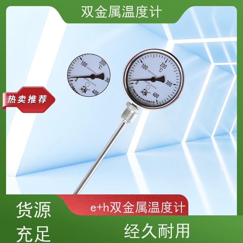 天康 轴向型双金属温度计 指针显示 厂家供应 货源充足