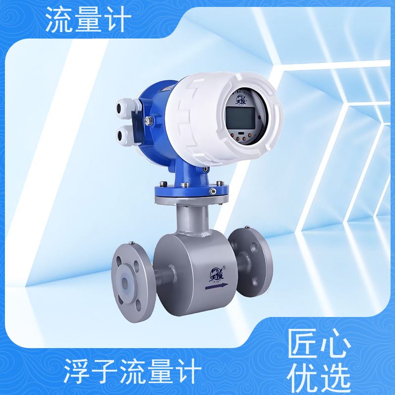 天康 热式气体质量流量计 测量精度2.5% 可定制 源头工厂 规格齐全