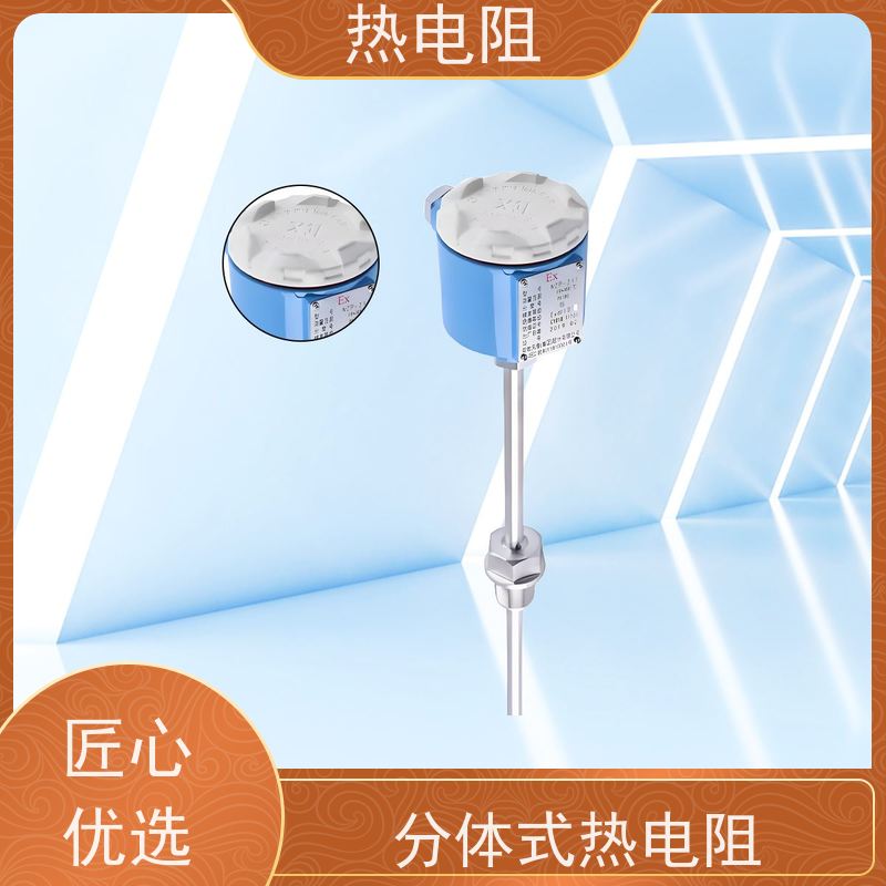 天康 防爆热电阻 启动扭矩56698Nm 品牌厂家 性能稳定