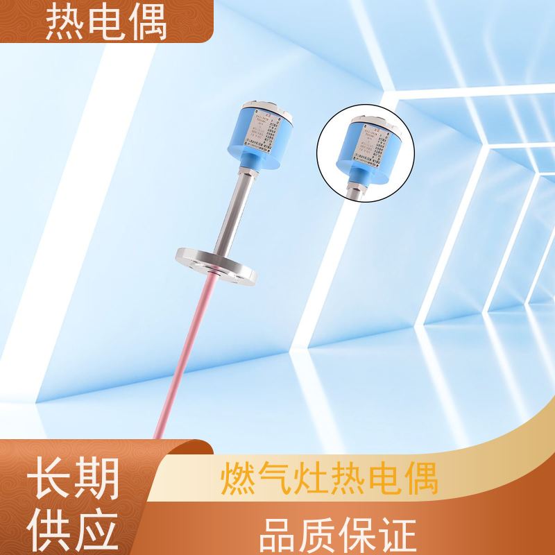天康 自粘热电偶 热响应时间 1（s） 厂家制造 经久耐用