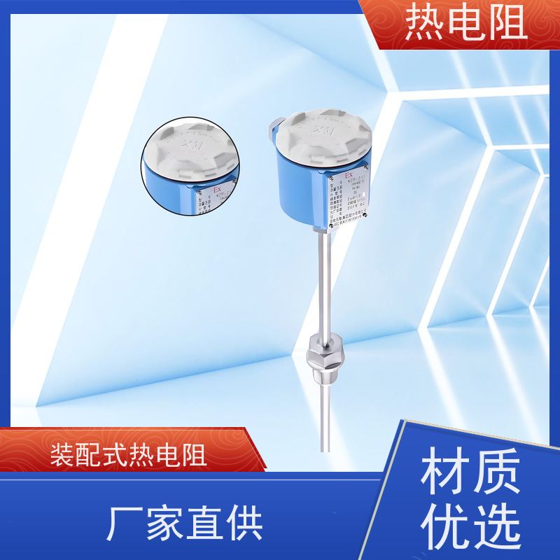 天康 端面铂热电阻 启动扭矩56698Nm 品牌厂家 性能稳定
