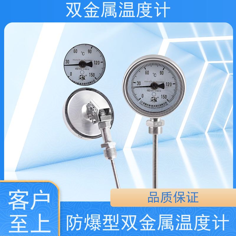 天康 ptc双金属温度计 指针显示 厂家供应 货源充足