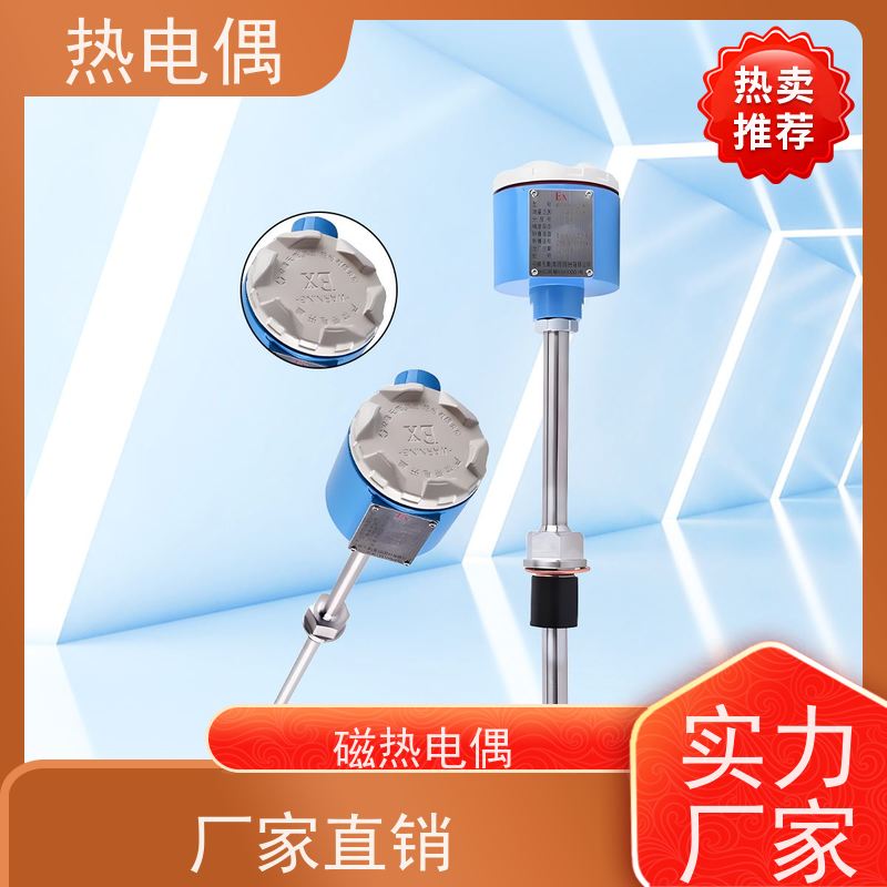天康 双铂铑热电偶 热响应时间 1（s） 厂家制造 经久耐用