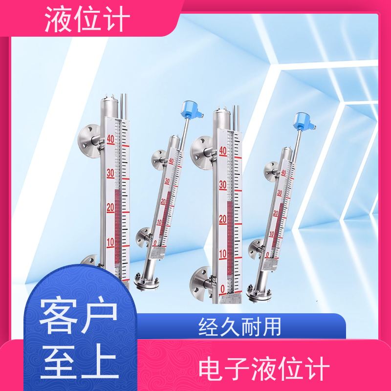 天康 不锈钢液位计 精度±0.1％ 可定制 实力工厂 质量保障