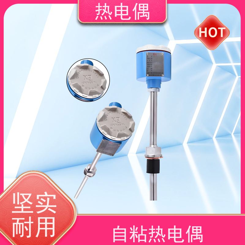 天康 手持式热电偶 测量温度 0~1800℃ 厂家供应 优选材质