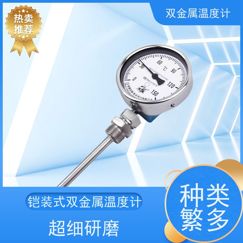 天康 法兰式双金属温度计 指针显示 厂家供应 货源充足