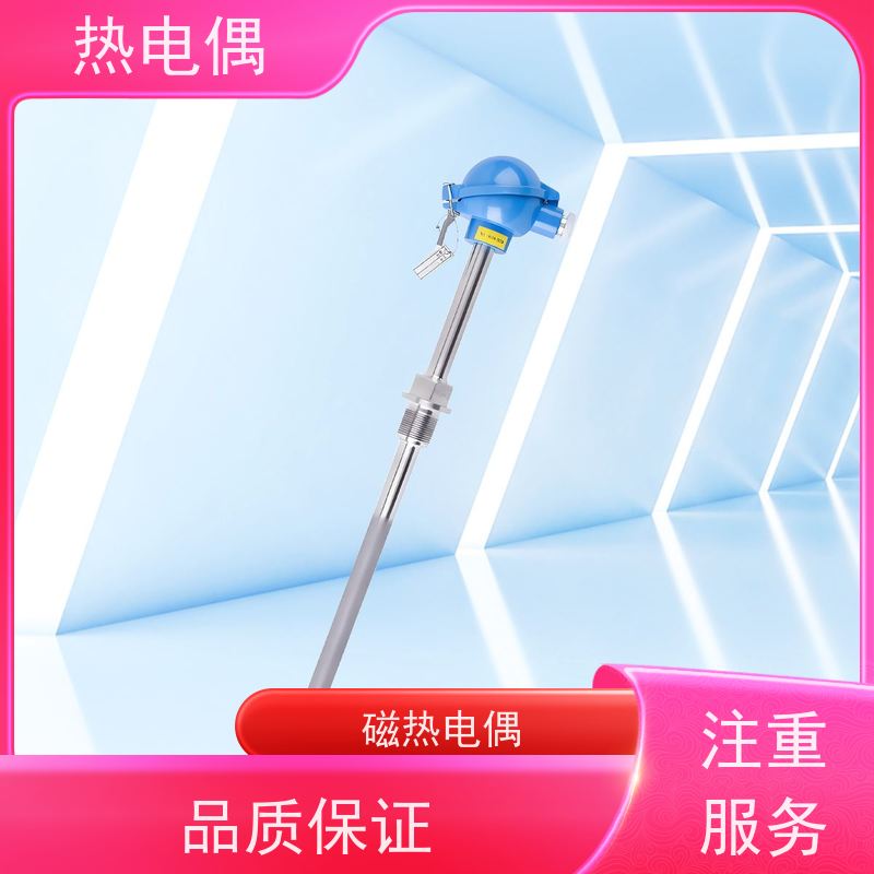 天康 耐磨热电偶 热响应时间 1（s） 厂家制造 经久耐用