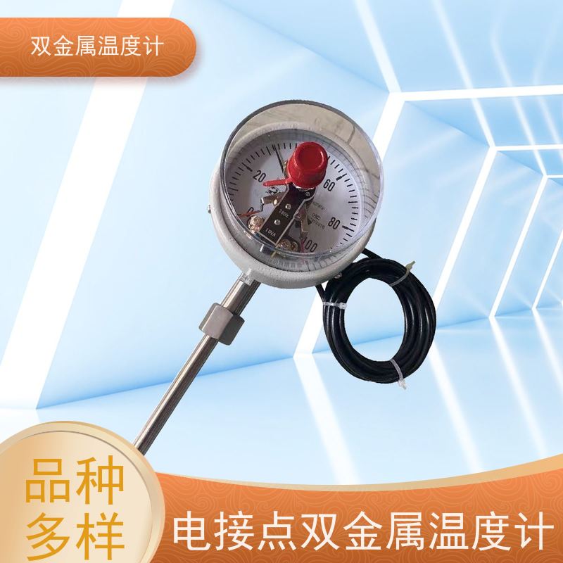 天康 径向型双金属温度计 指针显示 厂家供应 货源充足