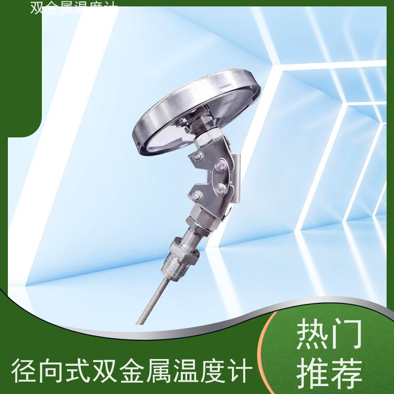 天康 铠装式双金属温度计 指针显示 厂家供应 货源充足