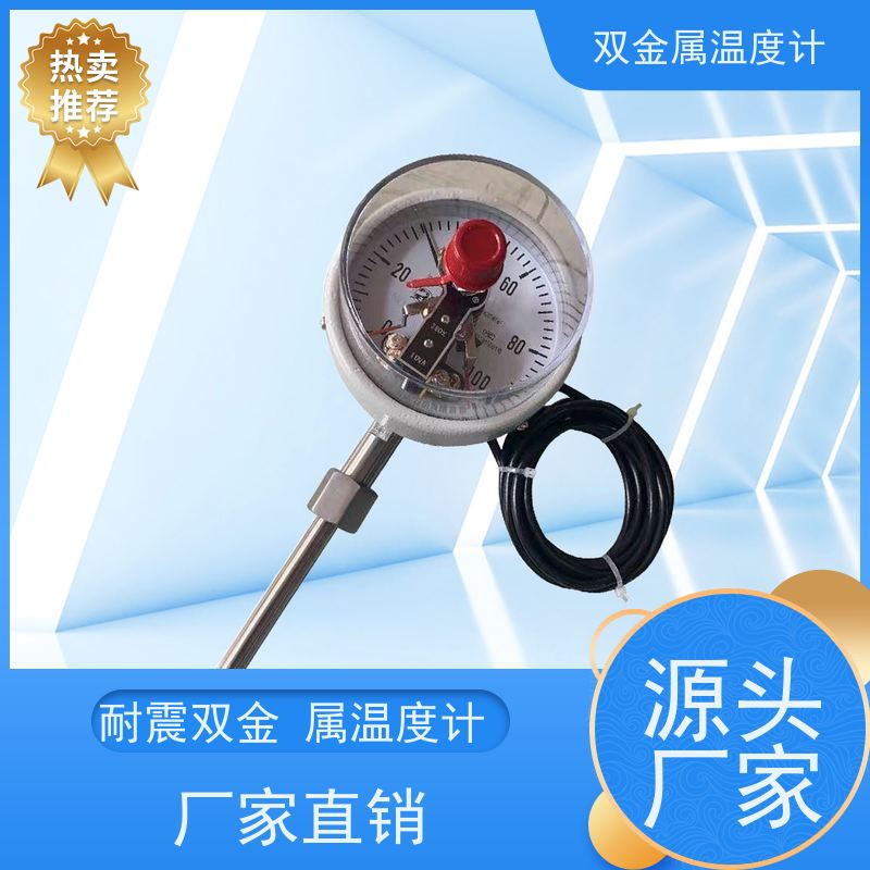 天康 知名双金属温度计 指针显示 厂家供应 货源充足
