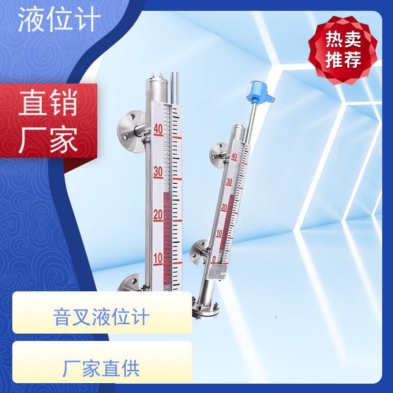 天康 干簧式液位计 精度±0.1％ 可定制 实力工厂 质量保障