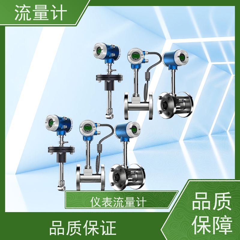 天康 分体流量计 测量精度2.5% 可定制 源头工厂 规格齐全