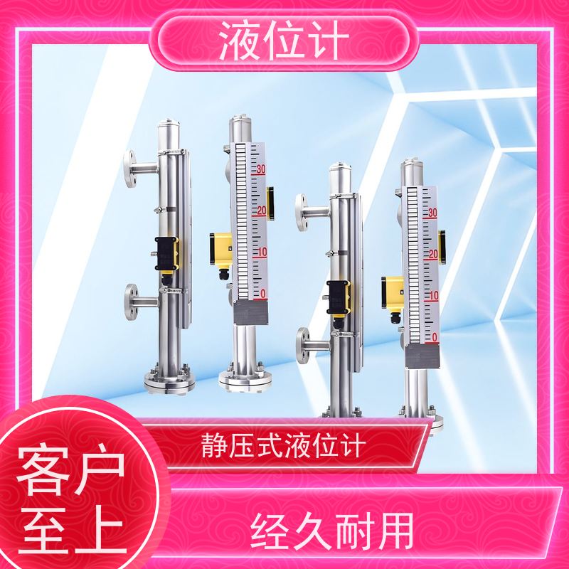 天康 探针式液位计 精度±0.1％ 可定制 实力工厂 质量保障