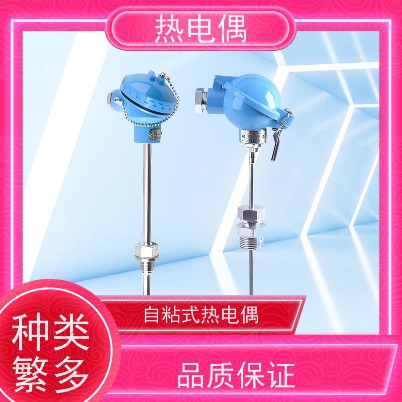 天康 测温热电偶 热响应时间 1（s） 厂家制造 经久耐用
