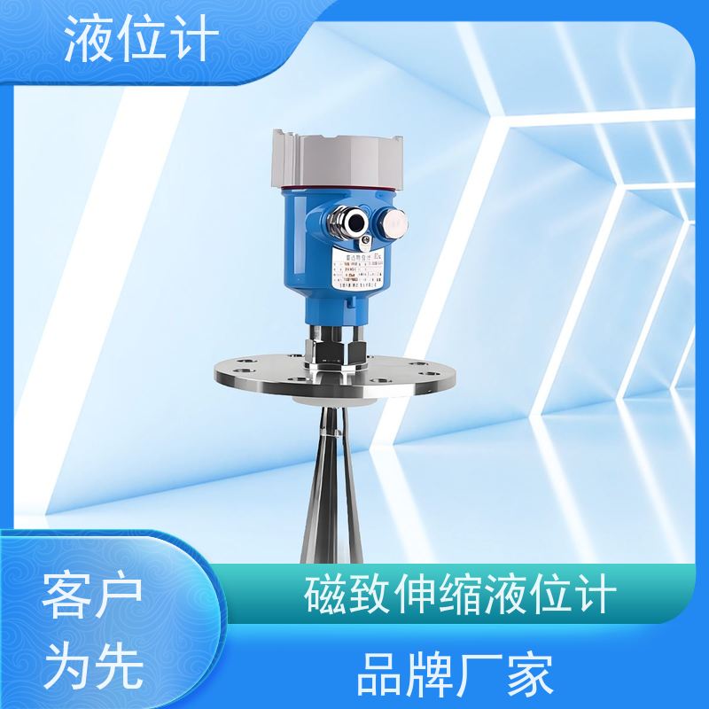 天康 进口液位计 精度±0.1％ 可定制 实力工厂 质量保障