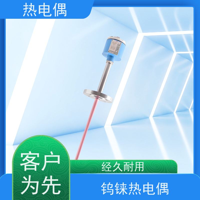 天康 手持式热电偶 热响应时间 1（s） 厂家制造 经久耐用