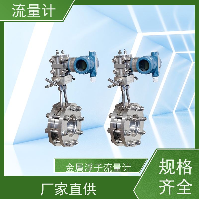 天康 成丰流量计 测量精度2.5% 可定制 源头工厂 规格齐全