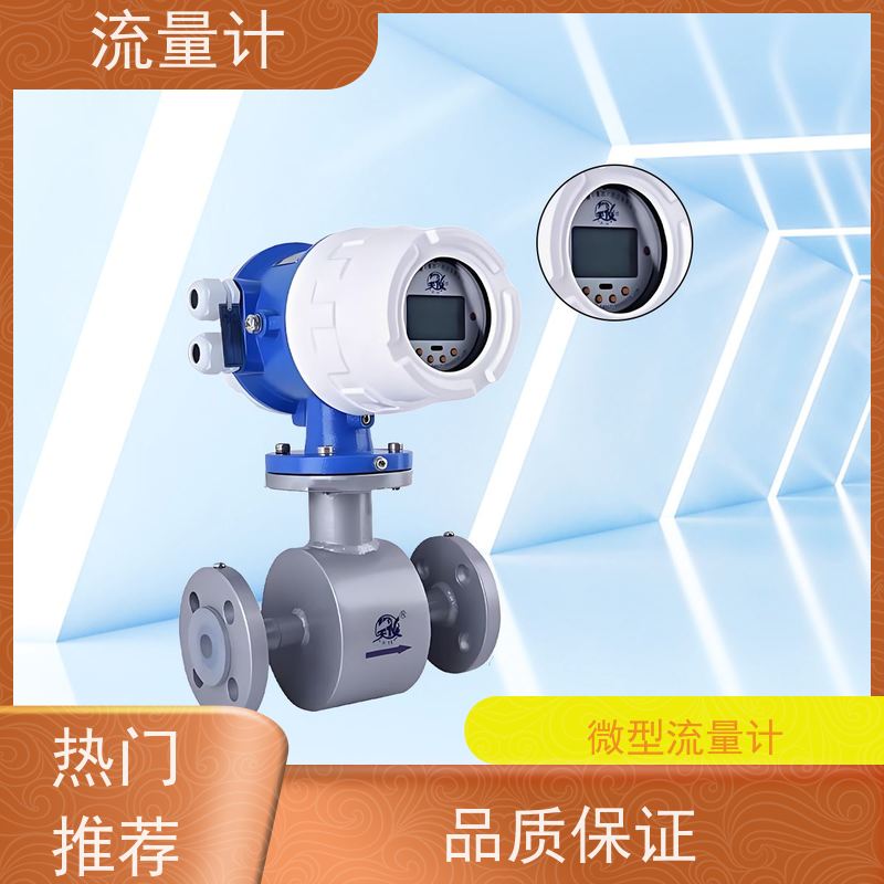 天康 微小流量流量计 测量精度2.5% 可定制 源头工厂 规格齐全
