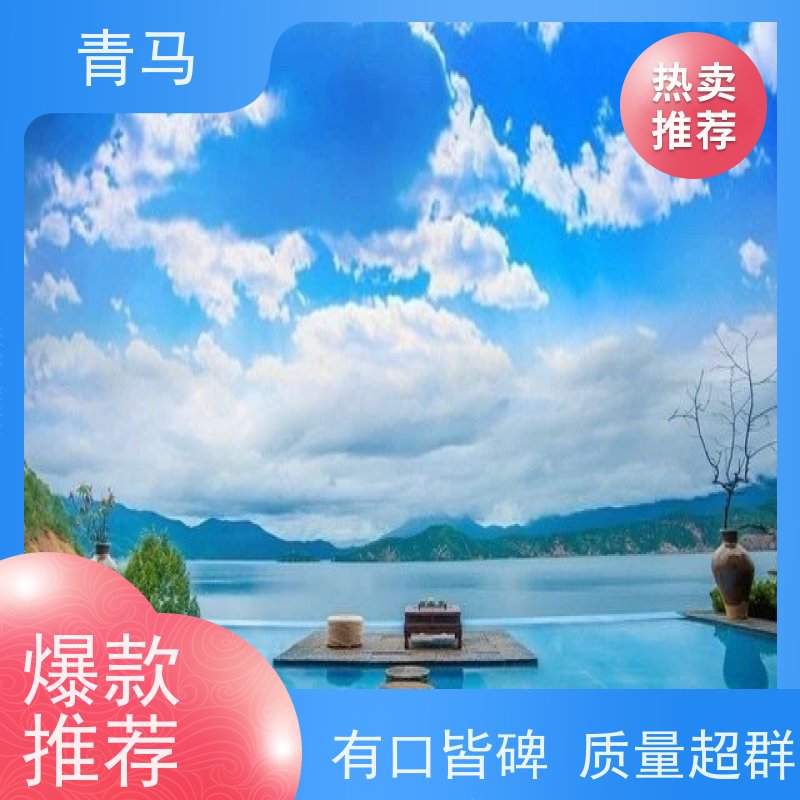 青马 恒温游泳池 适用于星级酒店 按需定制 免费测量