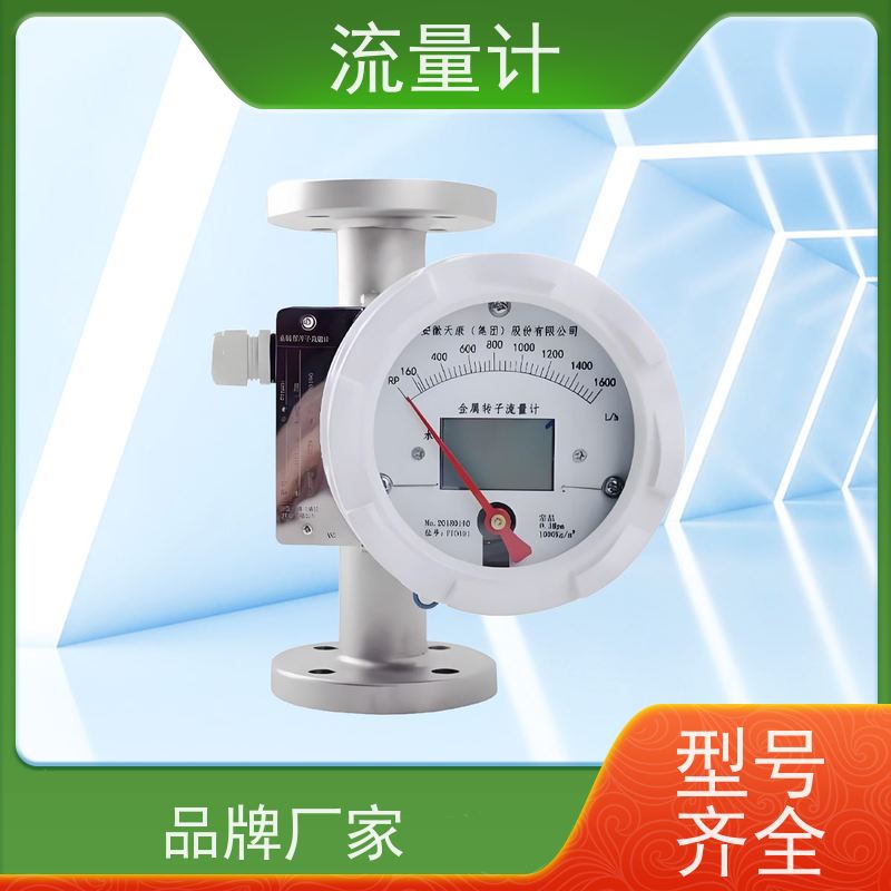天康 气体浮子流量计 测量精度2.5% 可定制 源头工厂 规格齐全