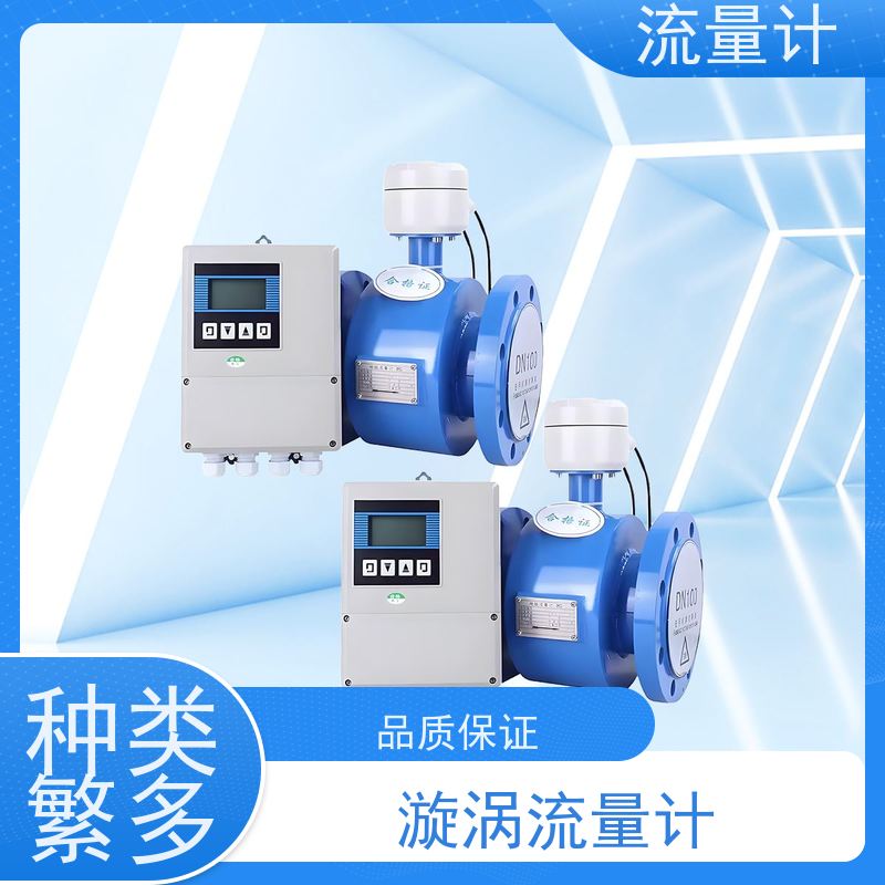 天康 气体流量计 测量精度2.5% 可定制 源头工厂 规格齐全