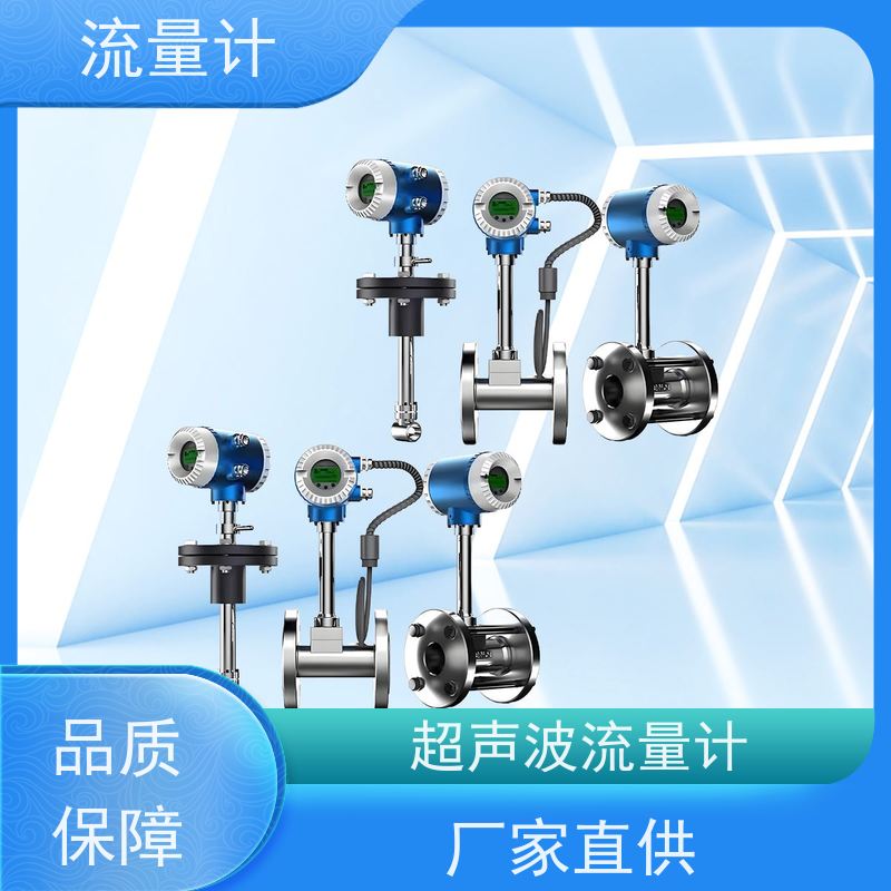 天康 管网流量计 测量精度2.5% 可定制 源头工厂 规格齐全