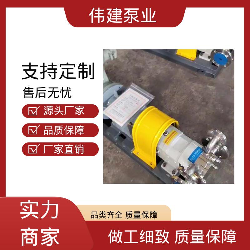 伟建定制 防漏设计 麦芽糖浆泵 高速稳定灌装避免飞溅