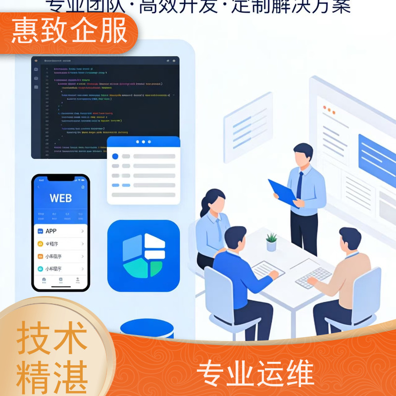 网站建设开发维护服务 高效解决方案 惠致企服 二十多年经验
