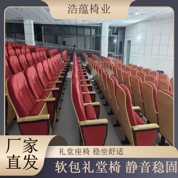 礼堂椅标准化生产 大型会议室座椅 质量稳定 浩蕴椅业