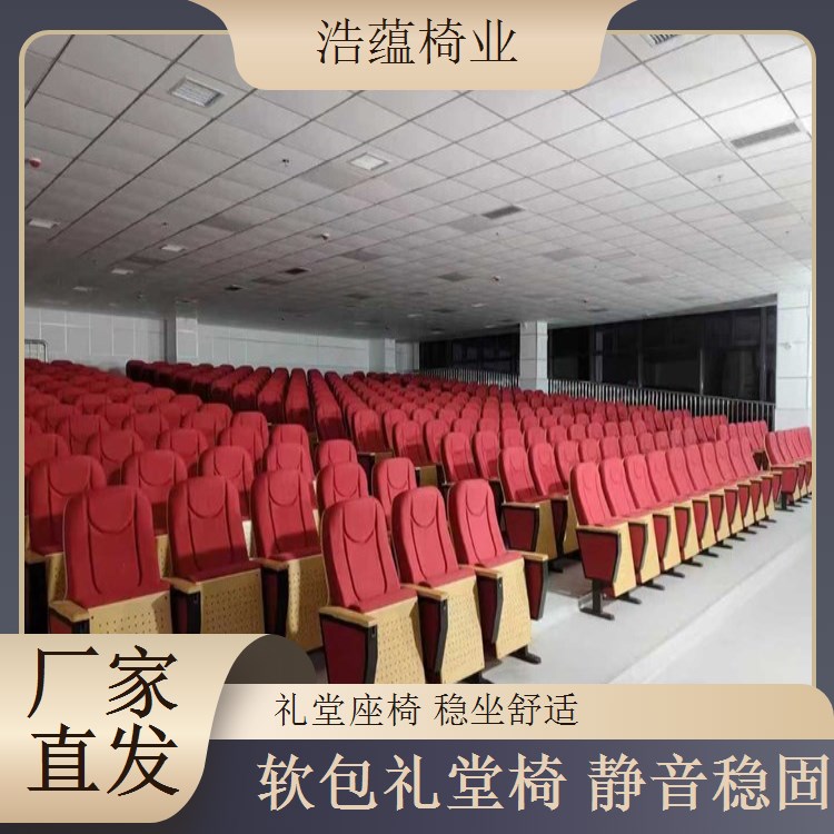 礼堂椅个性化定制 大型会议室座椅 专属设计 浩蕴椅业