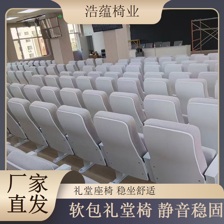 礼堂椅北欧设计 大型会议室座椅 清新百搭 浩蕴椅业