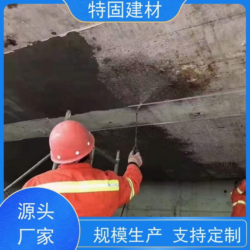 水性环氧树脂砂浆 抗压耐磨 长期生产供应 特固新型建材