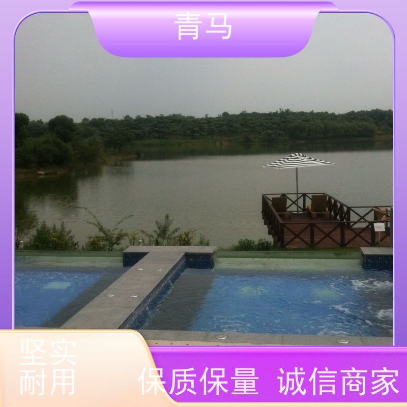 青马 景观泳池 适用于水上乐园 现代简约 多种颜色