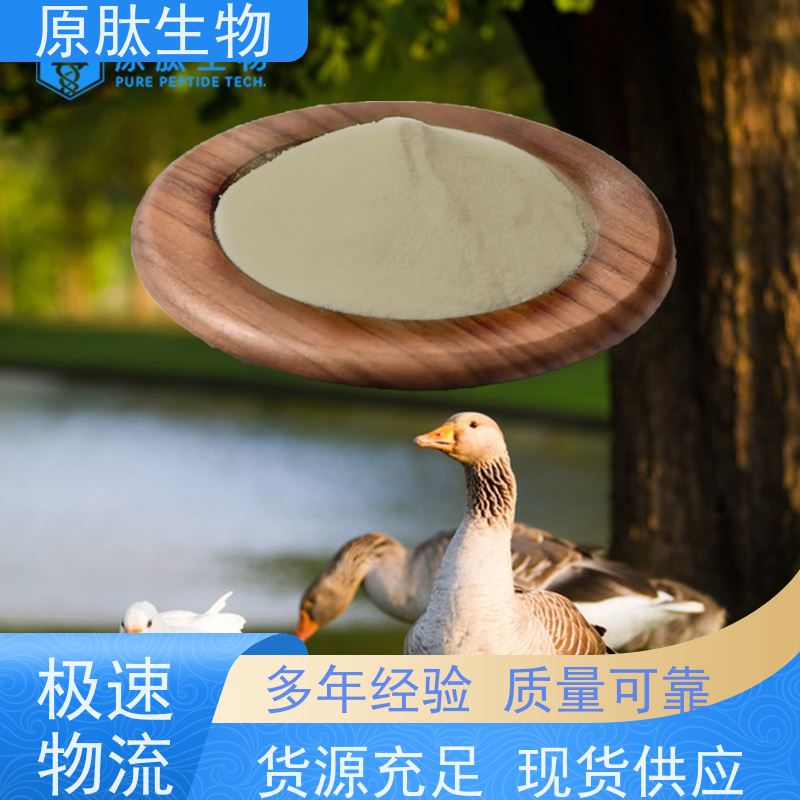 原肽生物 含量99% 水解角蛋白肽 高含量 源头厂家