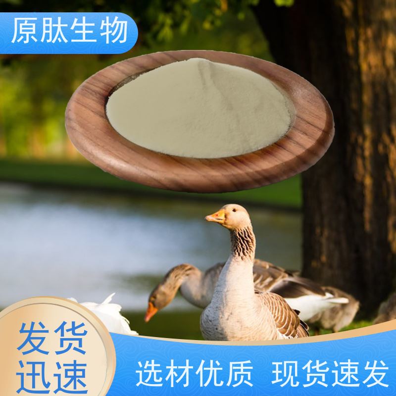 原肽生物 含量99% 水解角蛋白化妆品原料 远销海外