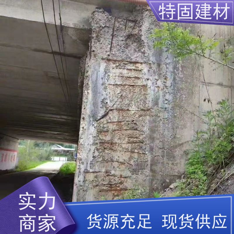 聚合物修补砂浆 抗渗性强 产地货源 常年供应 特固建材