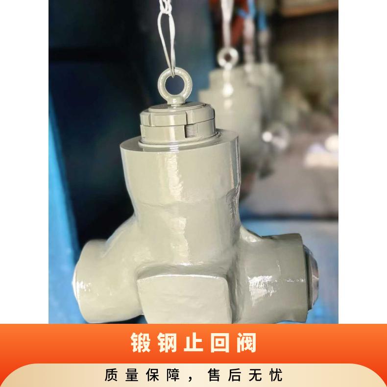 PH41H-1500LB锻钢高压自密封法兰止回阀304不锈钢焊接单向阀