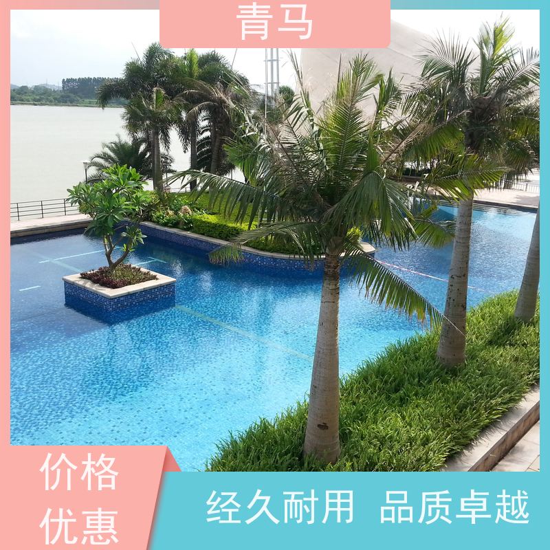 青马 成人游泳池 适用于小区民宿 现代简约 多种颜色