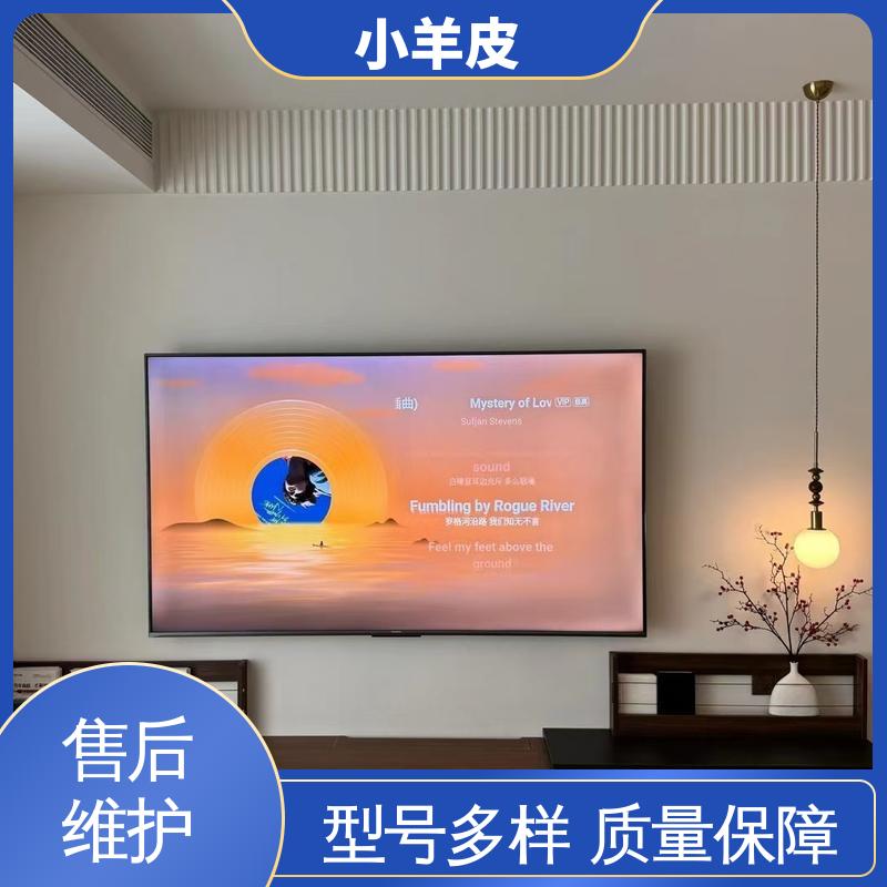 威乐森 艺术漆小羊皮 施工温度 5-35℃ 规格齐全 诚信经营