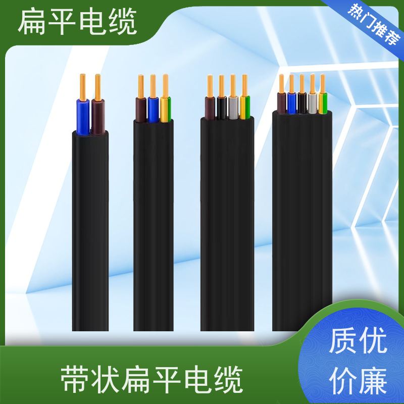 天康 面向航 天用特种扁平铜电缆 温度波动度 0.5 品牌厂家 物超所值