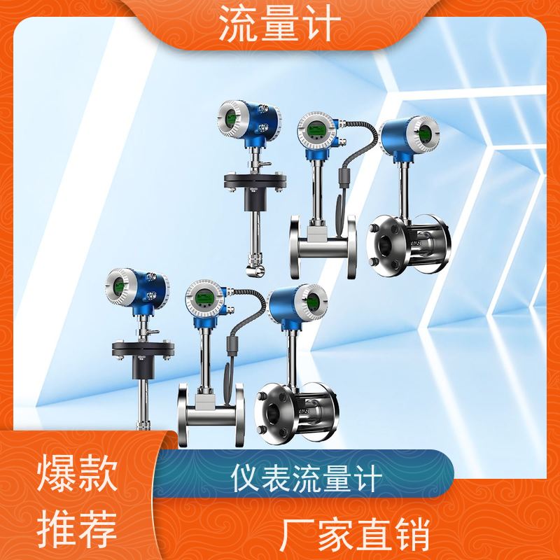 天康 氯 气流量计 测量精度 ±1.5% 工厂供应 支持定制