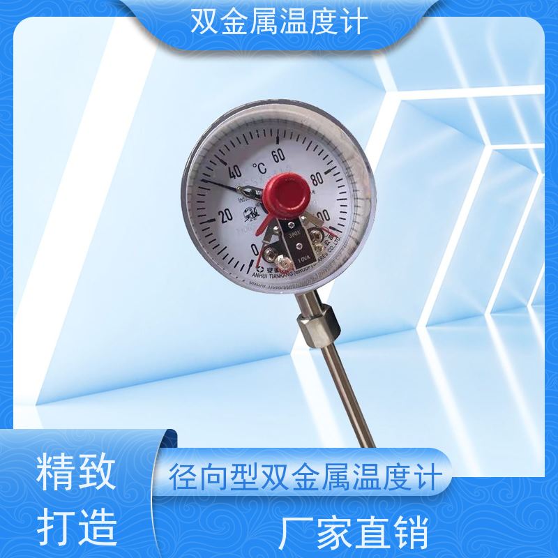 天康 数量双金属温度计 固定式安装 品牌厂家 经久耐用