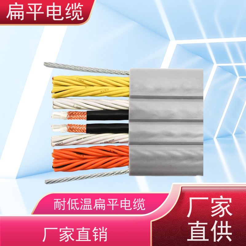 天康 扁平型电缆 温度波动度 0.5 品牌厂家 物超所值