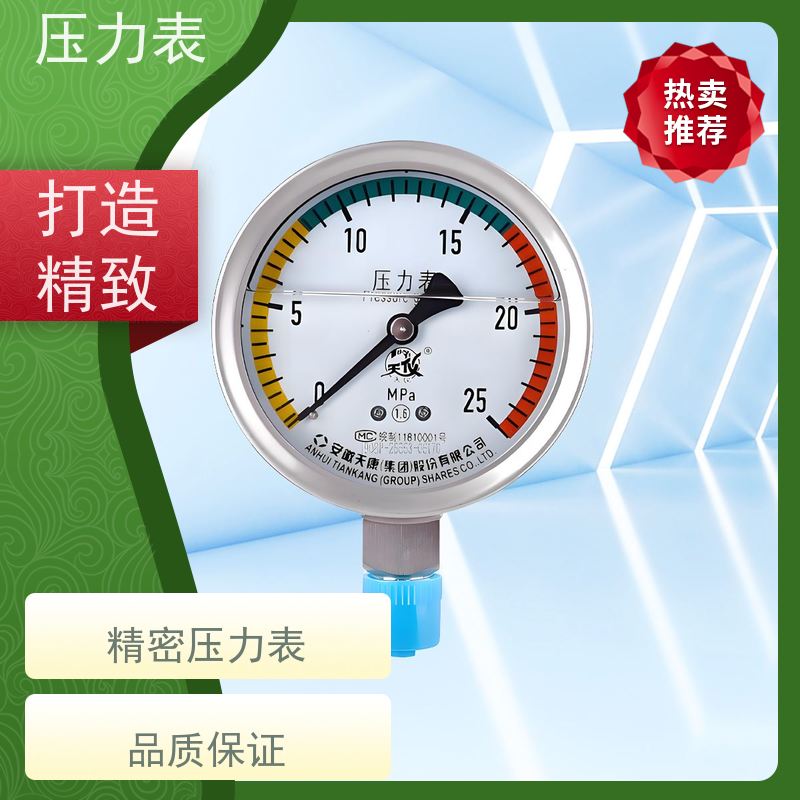 天康 正负压力表 环境温度 100℃ 批发 实力厂家 品质优越