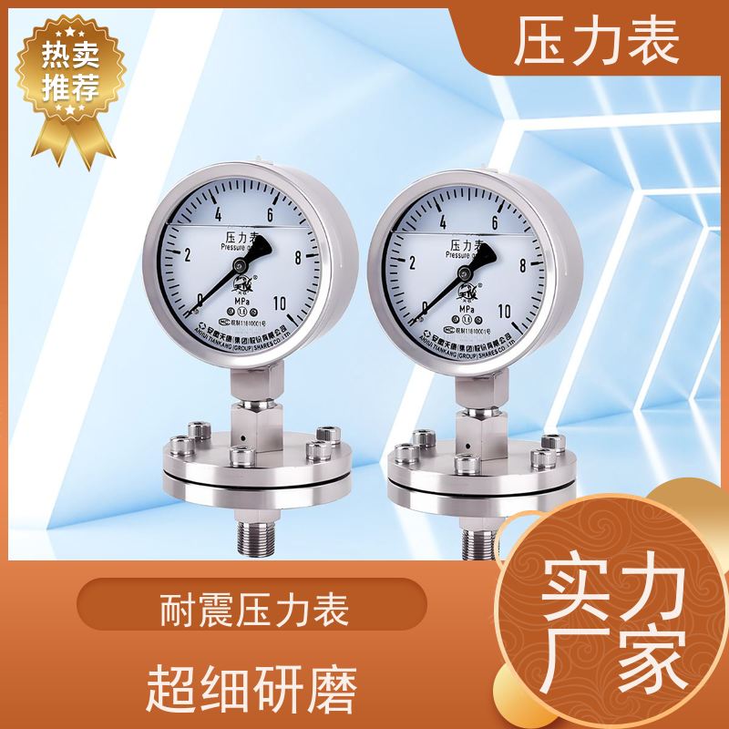 天康 氨用压力表 公称直径 60mm 批发 源头厂家 质量保障