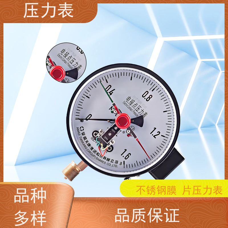 天康 智能数字压力表 公称直径 60mm 批发 厂家制造 品类齐全