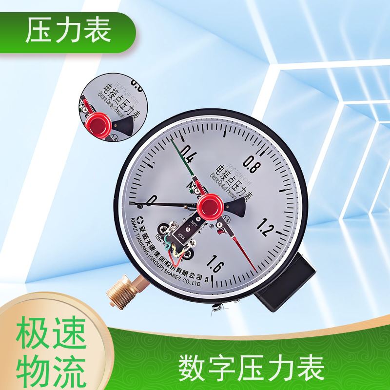 天康 双针压力表 环境温度 100℃ 批发 源头厂家 质量保障