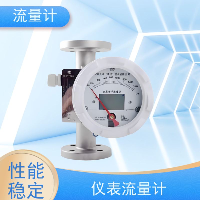 天康 微小流量计 公称通径 dn1200 实力工厂 做工细致