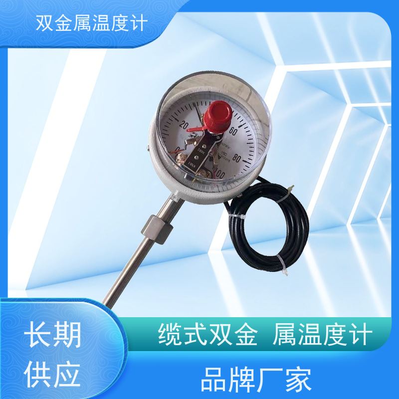 天康 轴向双金属温度计 固定式安装 品牌厂家 经久耐用
